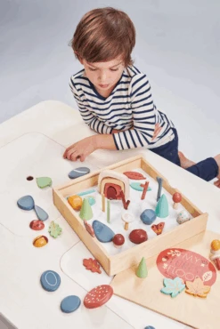 Tender Leaf Sortierset - Schätze Vom Waldboden, 50 Teile 15 Tender Leaf Sortierset - Schätze Vom Waldboden, 50 Teile -Tender Leaf sorteringss t skatte fra skovbunden 50 dele tender leaf toys 14 tl8369 2