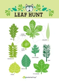 Holzset Für Einen Ausflug In Den Wald Forest Trail Set Tender Leaf Toys Mit Tasche Und Wasserdichter Decke Mit Lupe Und Zubehör 11 Holzset Für Einen Ausflug In Den Wald Forest Trail Set Tender Leaf Toys Mit Tasche Und Wasserdichter Decke Mit Lupe Und Zubehör -Tender Leaf tl8366 e tender leaf sada do lesa