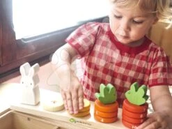 Karotten Aus Holz Counting Carrots Tender Leaf Toys Mit Nummerierten Ringen Und Einem Hasen Ab 18 Monaten 8 Karotten Aus Holz Counting Carrots Tender Leaf Toys Mit Nummerierten Ringen Und Einem Hasen Ab 18 Monaten -Tender Leaf tl8407 d tender leaf counting carrots