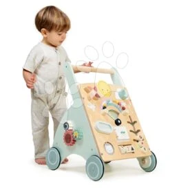 Lauflehrnhilfe Aus Holz 4 Jahreszeiten Des Jahres Sunshine Baby Activity Walker Tender Leaf Toys Mit Wettervorhersage Ab 18 Monaten TL8461 -Tender Leaf tl8461 d tender leaf choditko
