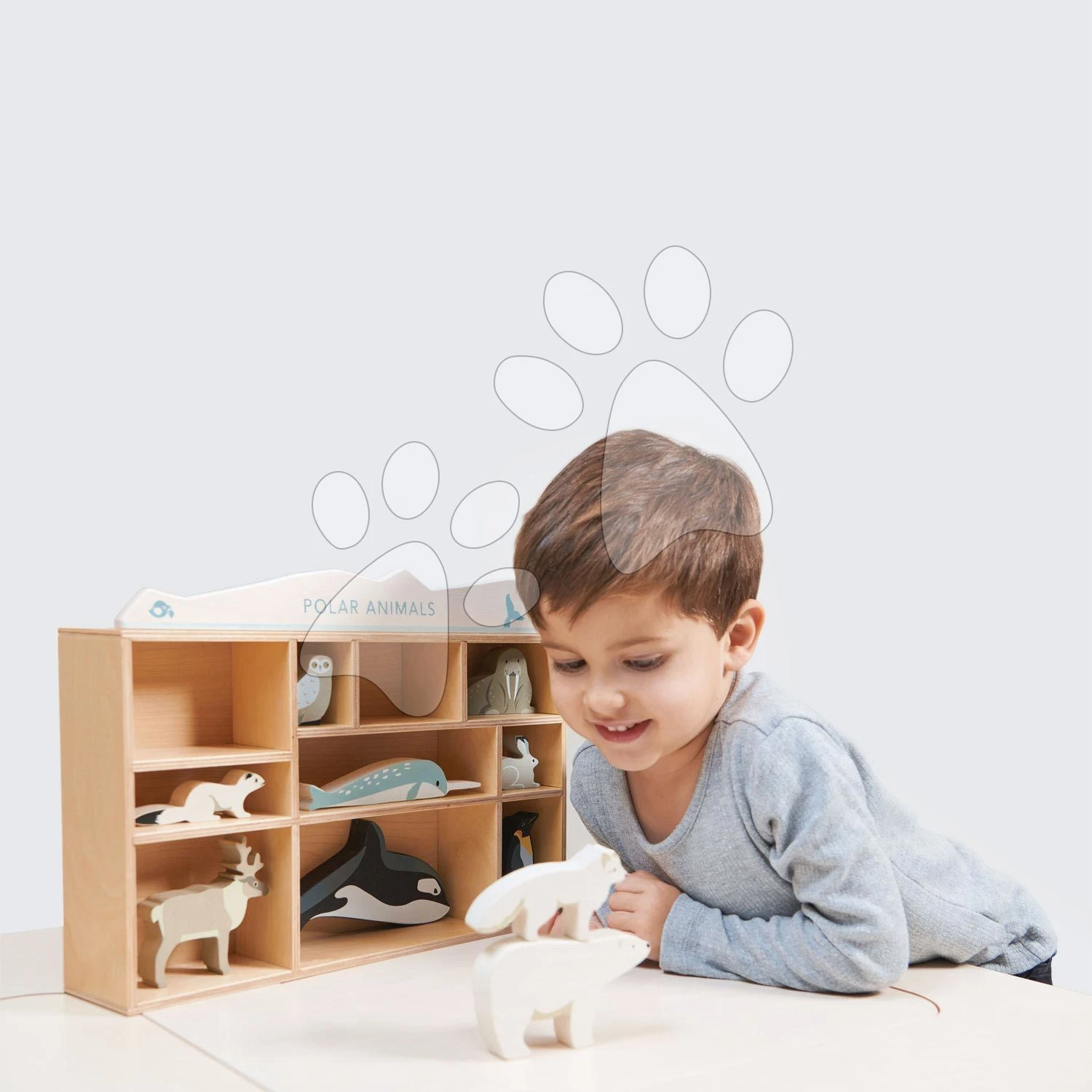 Polartiere Aus Holz Im Regal Tender Leaf Toys 10 Arten Von Eistieren TL8484 2 Polartiere Aus Holz Im Regal Tender Leaf Toys 10 Arten Von Eistieren TL8484 – Bild 2