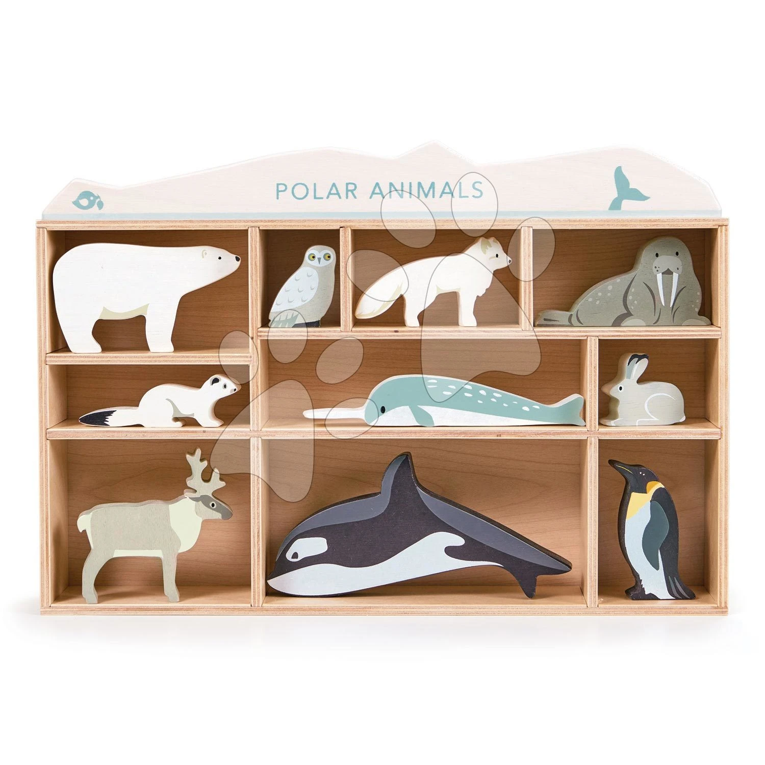Polartiere Aus Holz Im Regal Tender Leaf Toys 10 Arten Von Eistieren TL8484 7 Polartiere Aus Holz Im Regal Tender Leaf Toys 10 Arten Von Eistieren TL8484 – Bild 7