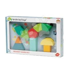 Magnetbaukasten Aus Holz Primary Magblocs Tender Leaf Toys 10 Natürliche Geometrische Würfel In Einer Tasche -Tender Leaf tl8614 d tender leaf primary magblocs